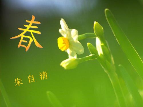 初一课文春划分段落层次并概括大意