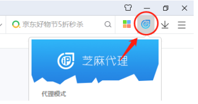 360安全浏览器HTTP代理IP设置、使用步骤