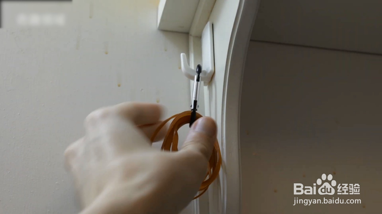 登山扣不但可以收纳，也可以固定东西