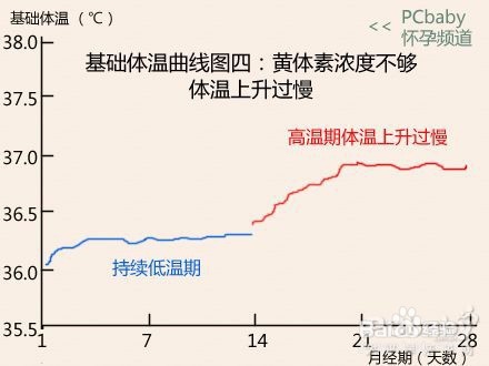 7种基础体温曲线图解读