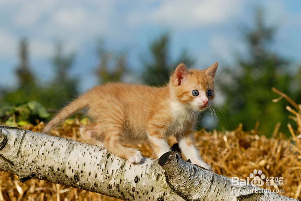 如何正确的检查风湿病
