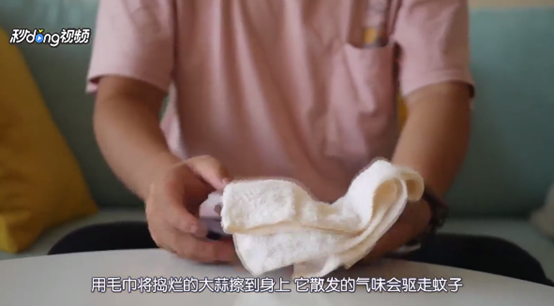 如何用大蒜驱蚊？