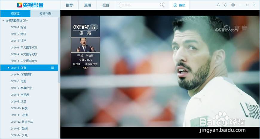 在国外怎么看世界杯