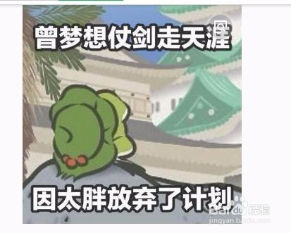 青蛙旅行家怎么设置中文