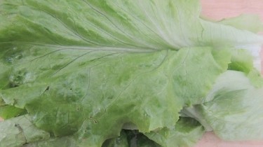 如何用蚝油生菜炒年糕？