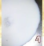 人人都会做的快手简式葡挞