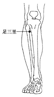 百病刮痧：[33]遗精的刮痧疗法