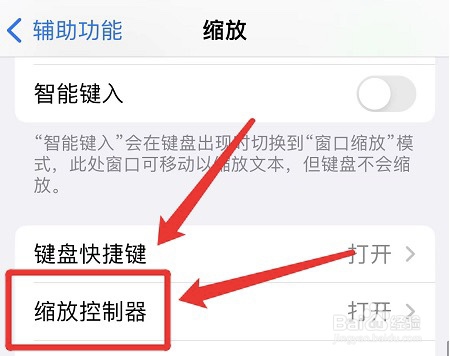 怎么关掉苹果手机单点缩放控制器