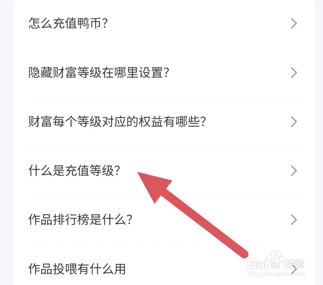 唱鸭如何查看什么是充值等级