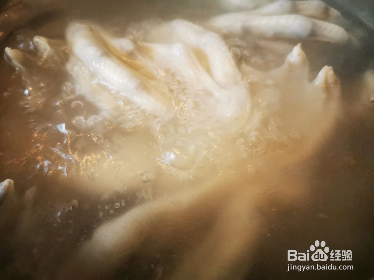 酱香鸭掌煲的做法