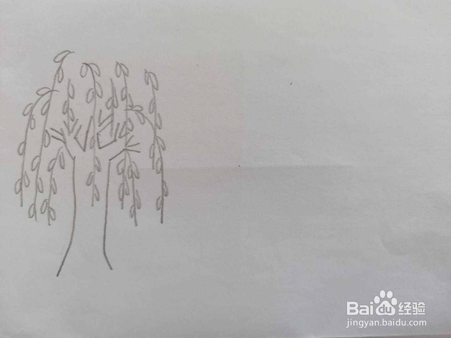 新手学画画适合画什么