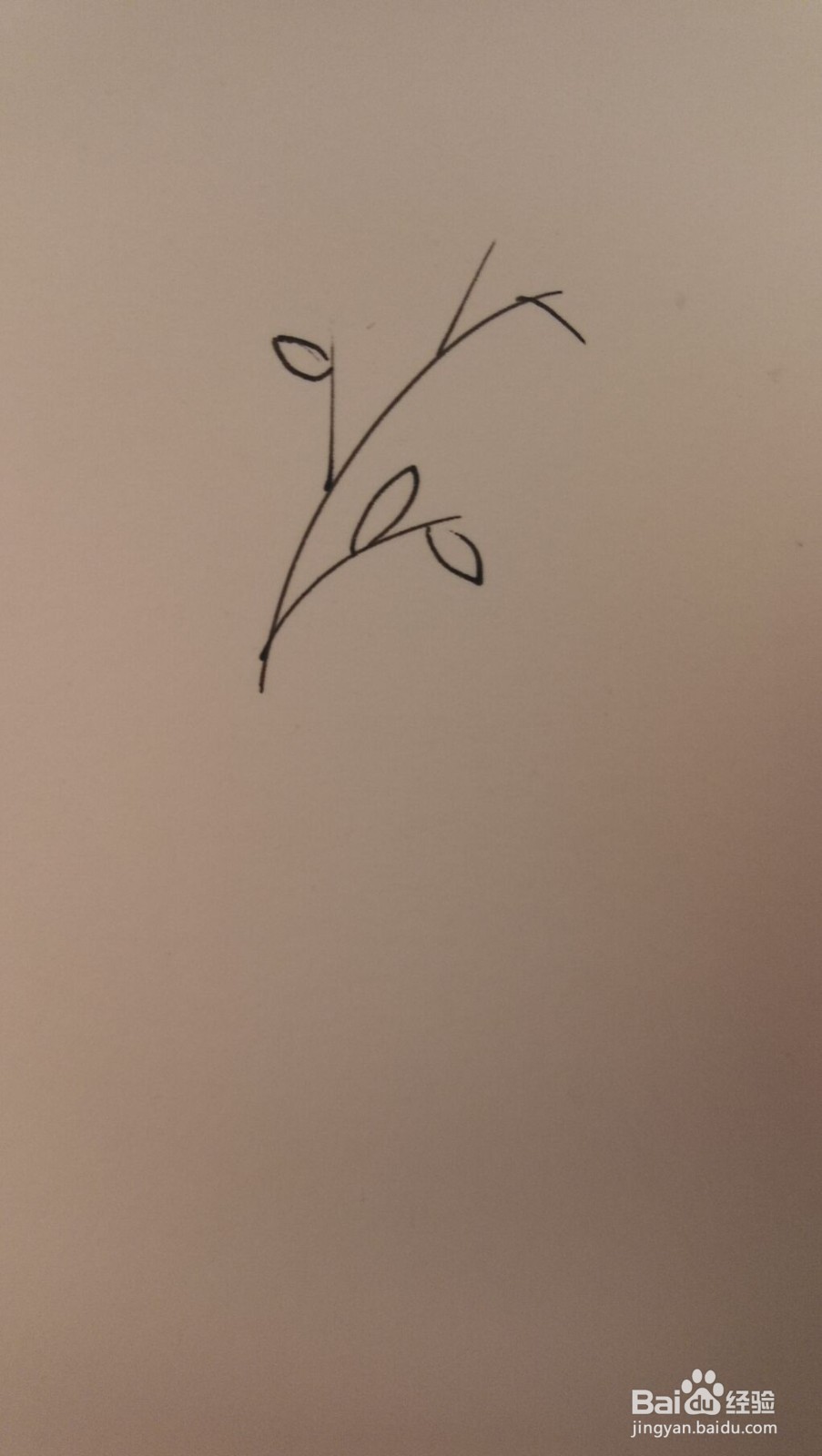 小草简笔画之画法四十九