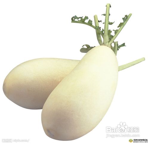 秋冬7种蔬菜,皮肤越吃越白