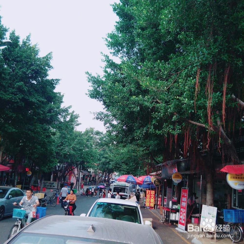 【校园指南】东莞理工学院城市学院建筑分布图