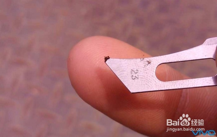 苹果手机喇叭怎么清理