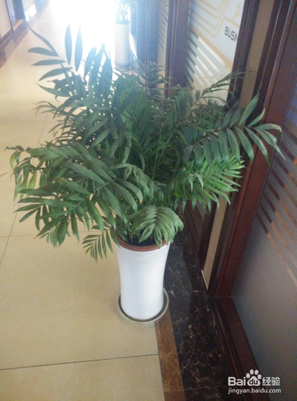 告诉你苏州人怎么过冬至