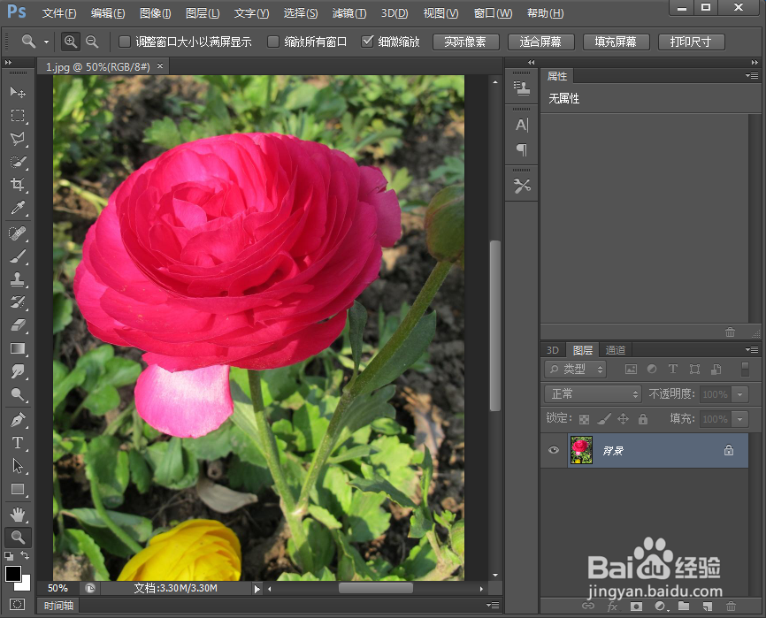 如何在ps中给图片添加马赛克拼贴和油画滤镜