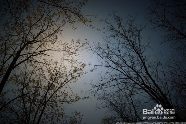 北京旅游攻略：[22]海淀公园