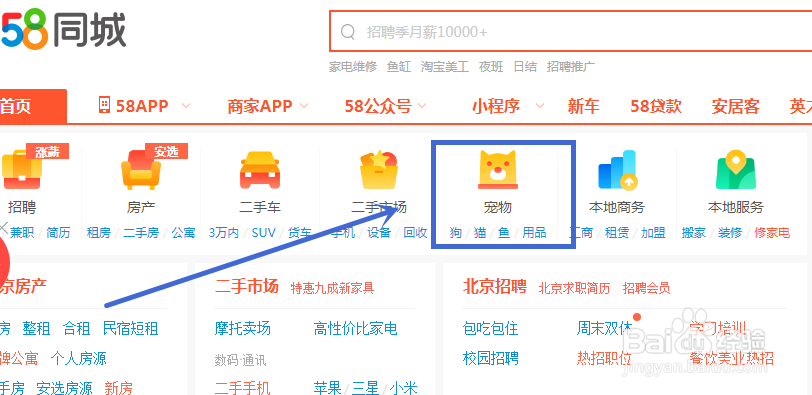狗狗鼻子干裂结痂怎么办