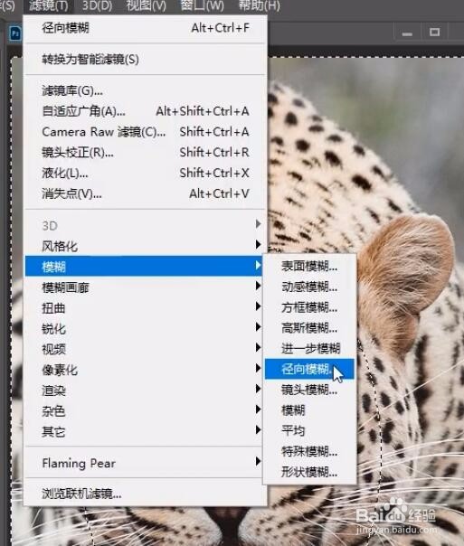 PS怎么给图片增加径向模糊