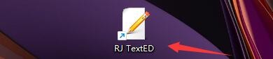 RJ TextED如何设置编辑时区分大小写