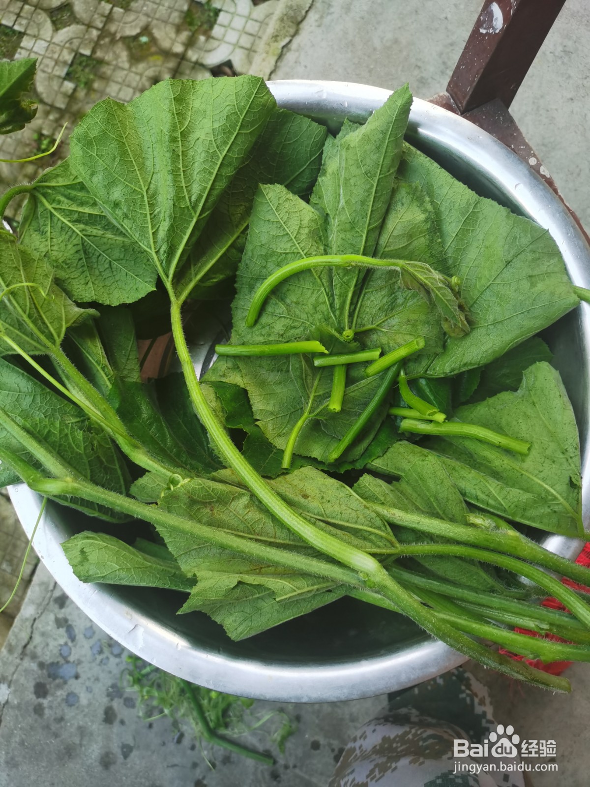 南瓜苗怎么煮来吃？