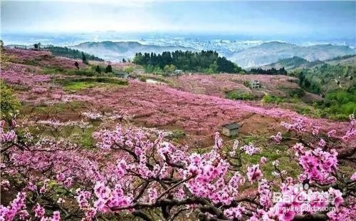 【校园指南】四川师范大学成龙校区出行篇