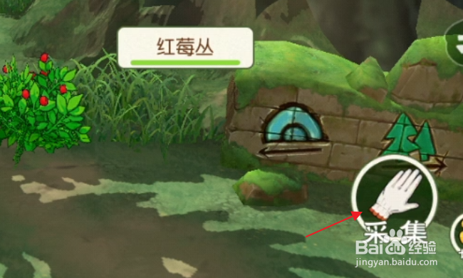 小森生活怎样采集红莓