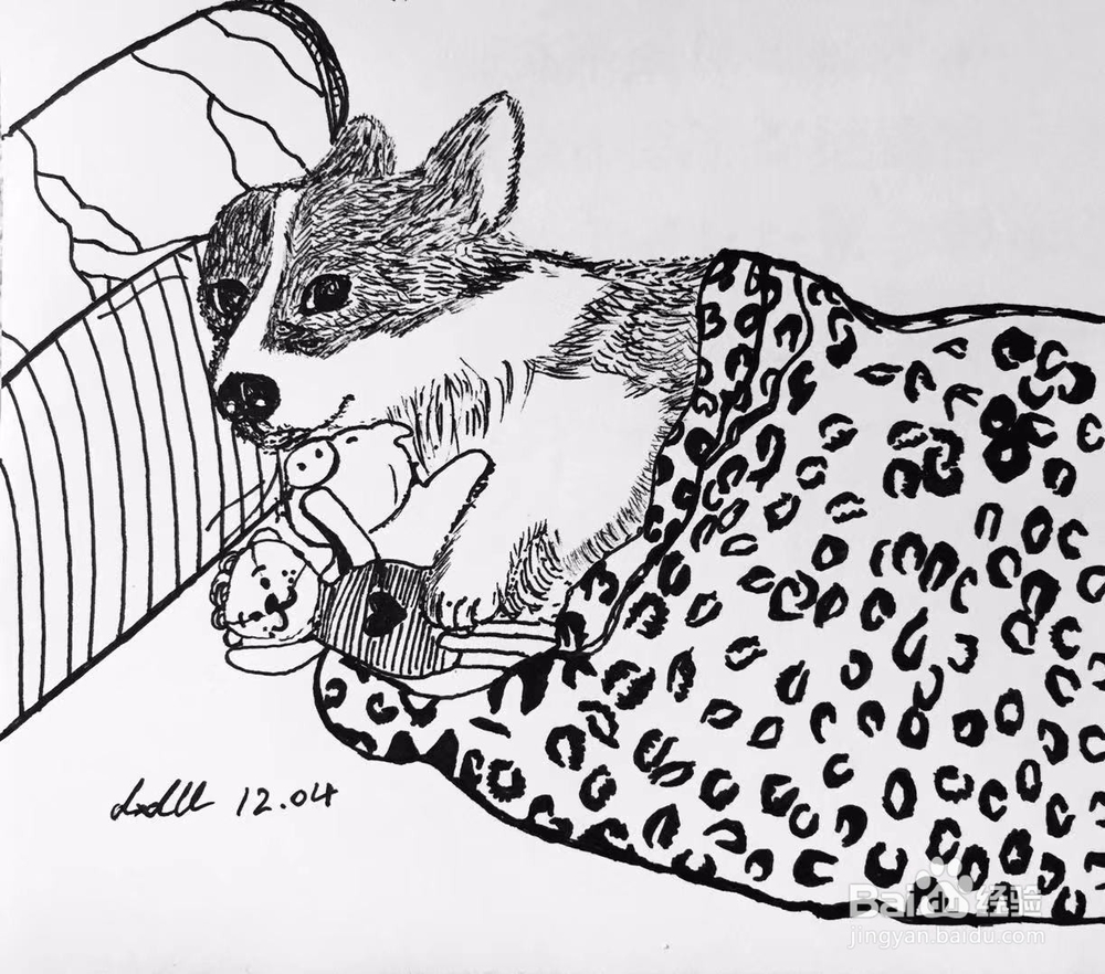 茉莉手绘之萌宠柯基