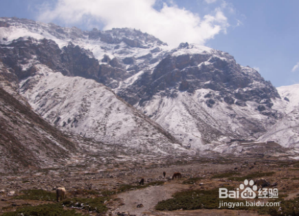 如何在泥水中分辨方向