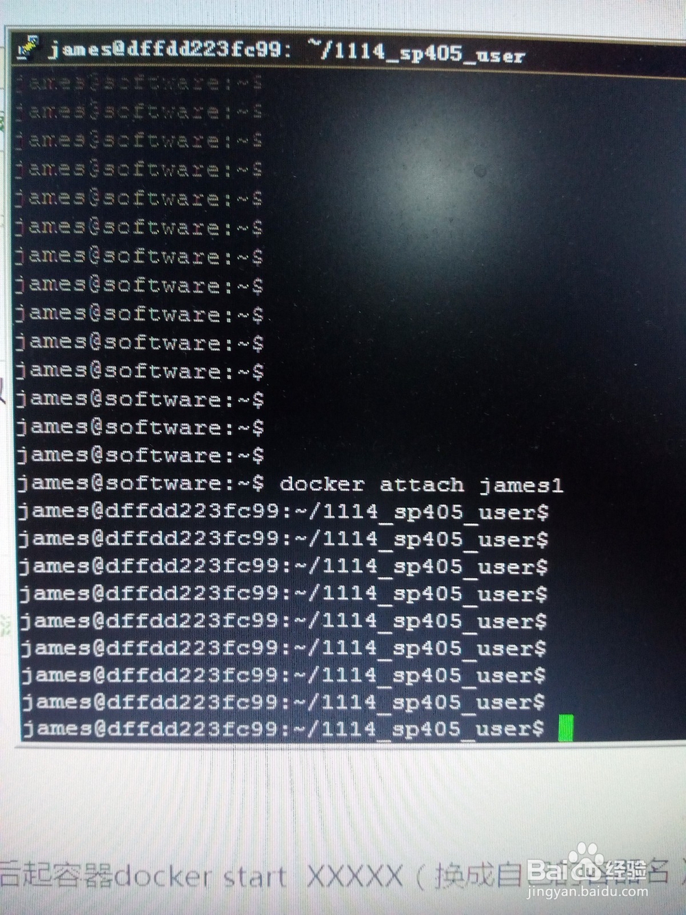 docker如何启动