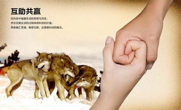 成功的秘诀:不要和甲方理论