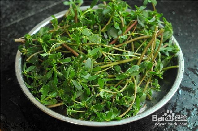 家庭自制凉拌马齿笕