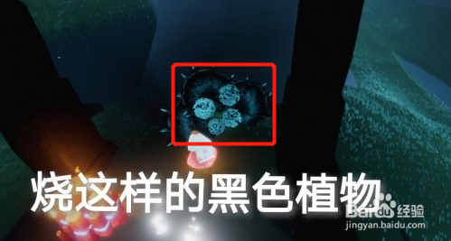 光遇2月5每日任务怎么做2022