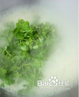 怎样做秧草咸肉河蚌