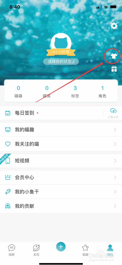随猫树洞怎么使用头像装扮