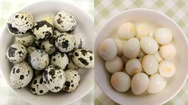 卤鸡翅鸭爪鹌鹑蛋