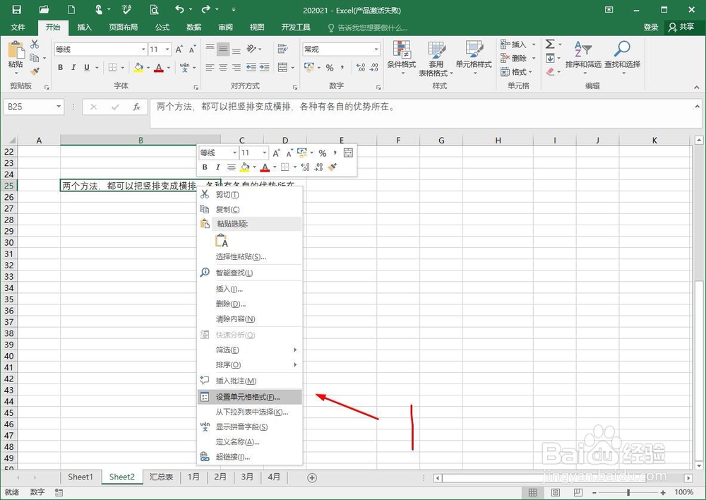 excel一个格子里怎么打两排的字