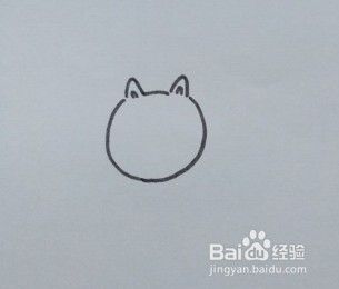 简笔画：猫的画法教程。怎么画猫，如何画猫？