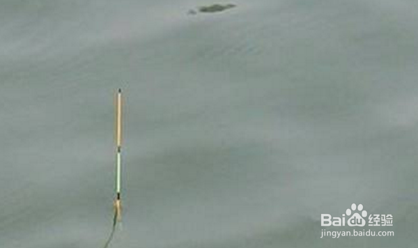 钓鱼怎么看浮漂？什么漂相提竿中鱼