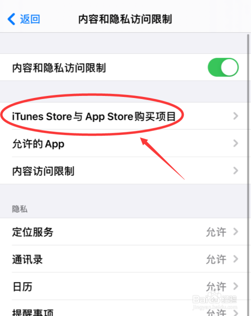 蘋果手機iphone的應用商店不見了怎麼辦?