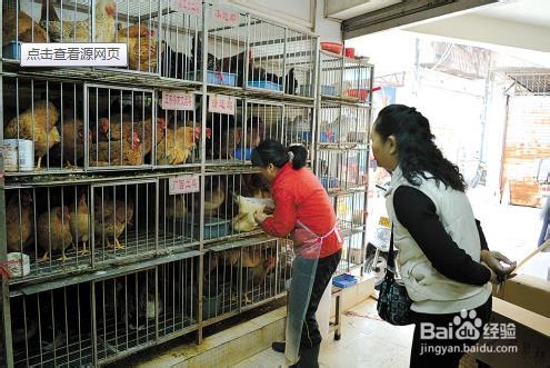冬天过年期间怎样预防H7N9禽流感