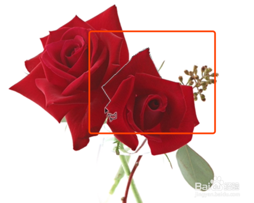 教你一招PS抠图小技巧