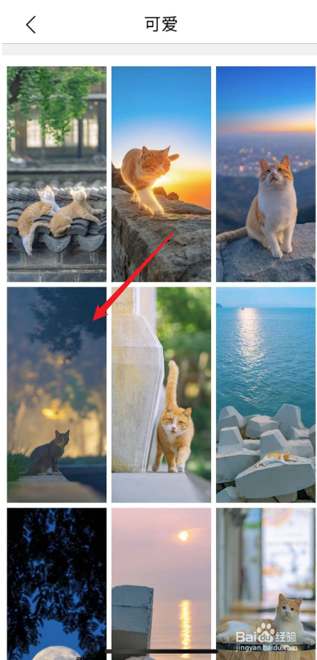 手机背景图片全屏可爱