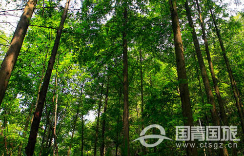 湖南旅游张家界六大著名景点一览