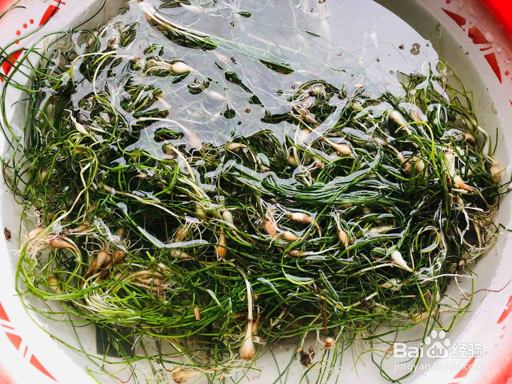 荞头炒鸡蛋的做法