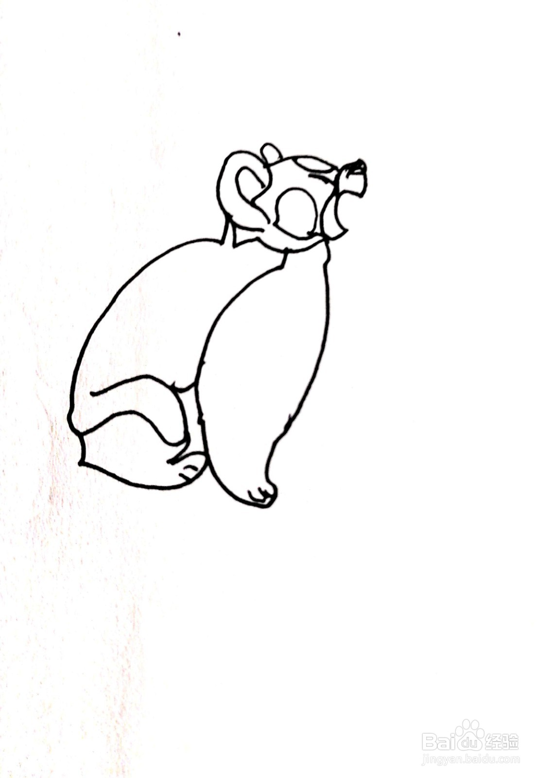 张开嘴巴的小浣熊线描画怎么画