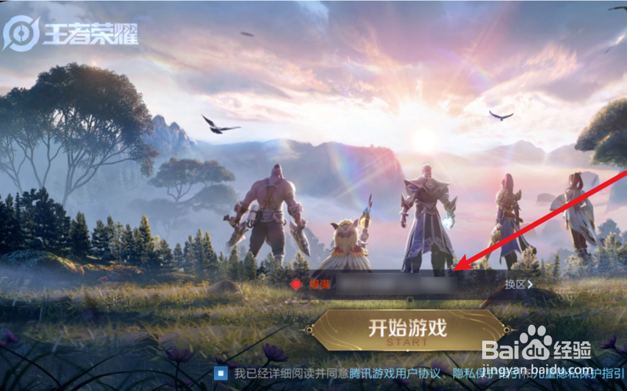 王者荣耀贵族v10共享皮肤