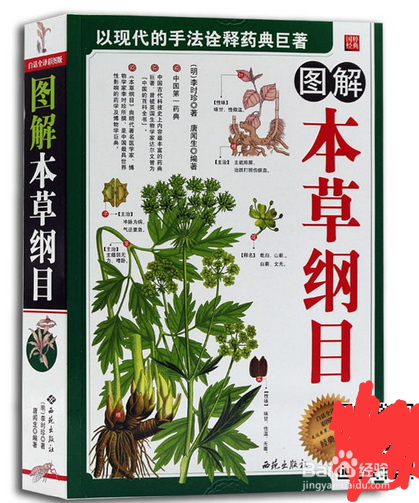 平常生活怎么注重养生呢