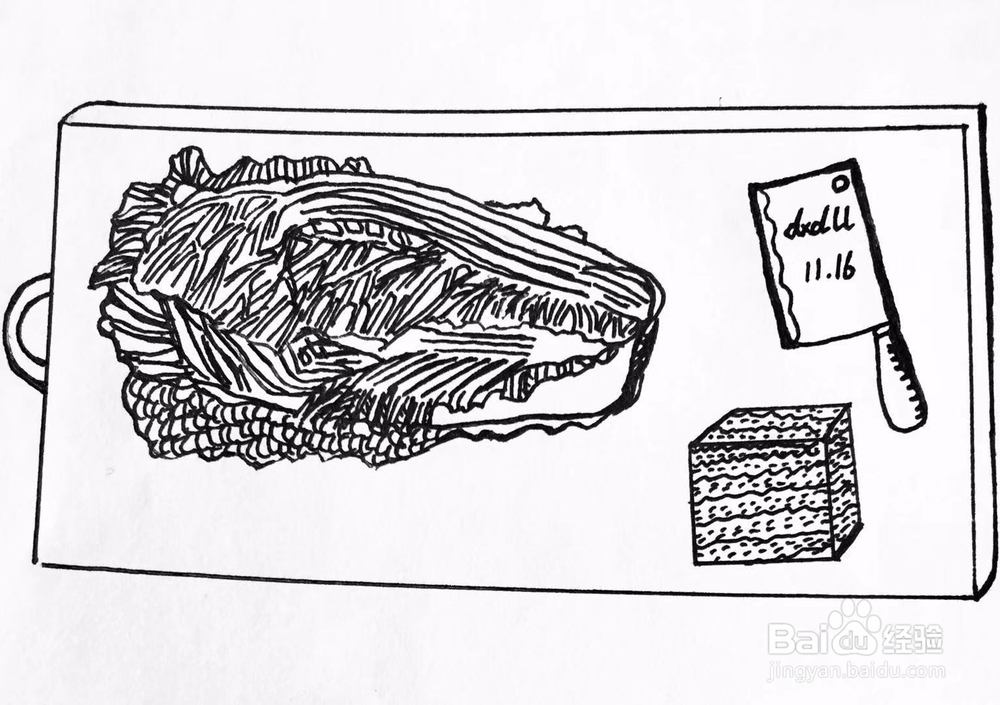 茉莉手绘之白菜与豆腐